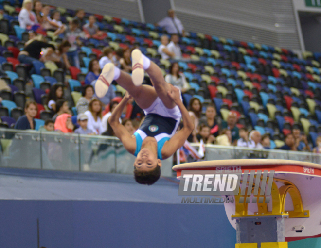 Kişi idman gimnastikası üzrə 22-ci Bakı Çempionatı və Birinciliyi. Bakı, Azərbaycan, 02 oktyabr 2015